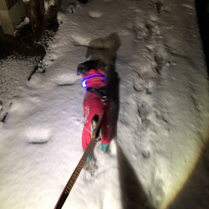 007dc63e 86e9 4dae acdb afd8e6d531e8 1671357313061