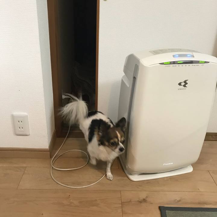 007de0e2 e245 4c93 8dc1 029004db6ac4 1514724785335