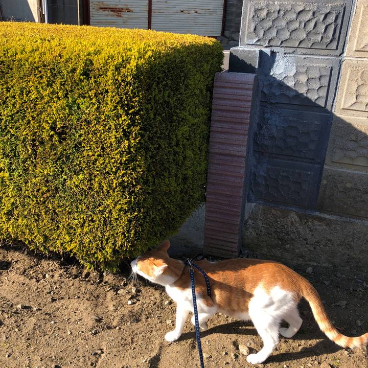 007dff5a 7f6a 456d 9cbb a86a031c6885 1543304102518