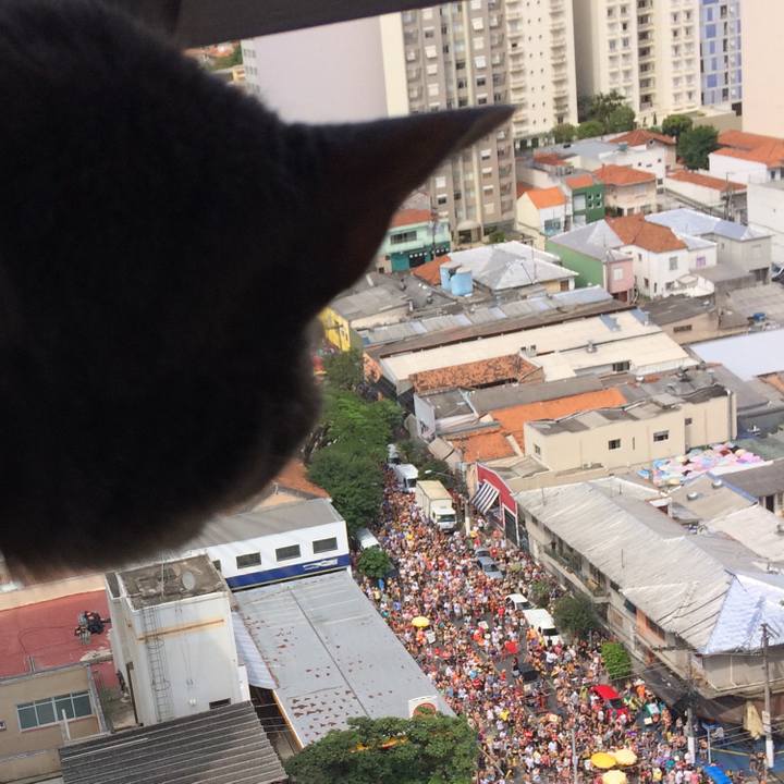 007e4c1c 8492 41ac a374 58fbdf12957e 1518458018654