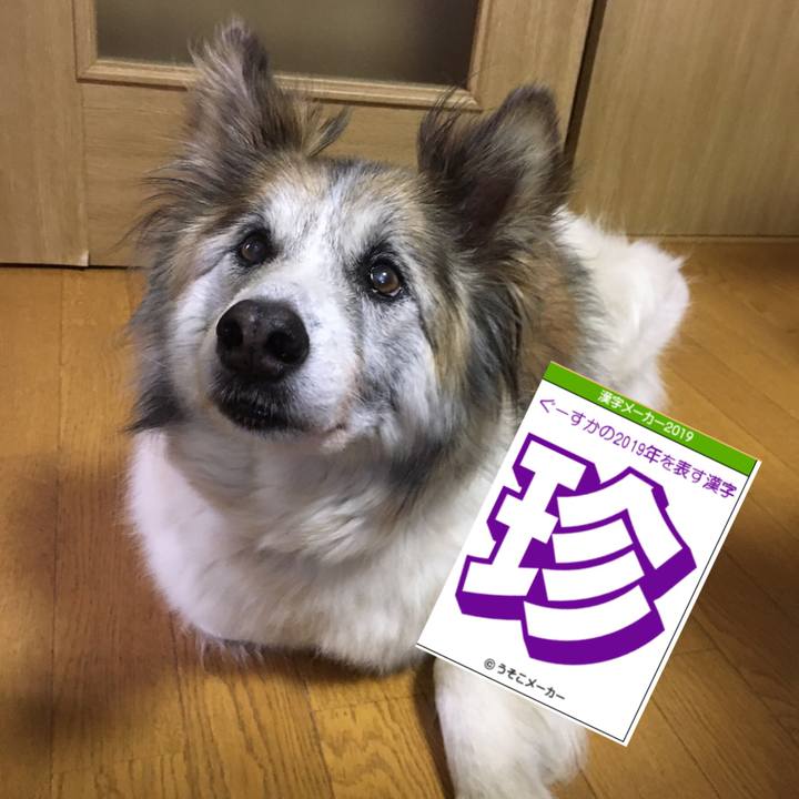 007ed267 be04 42e3 8e4d 8aa9b61b67af 1565164950175