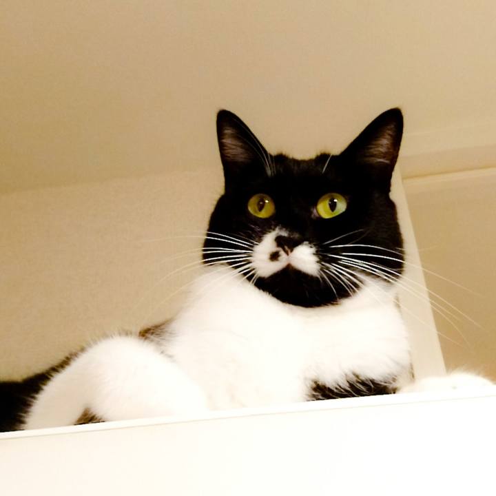 007efc42 52bf 439c 8a7f 7ae741e3c99e 1508856939636