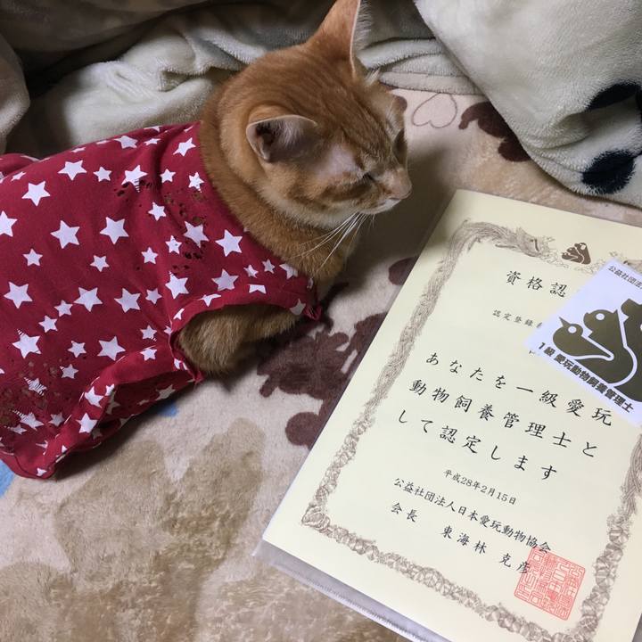 007f0766 0704 4b16 8001 05535b0d6f31 1513175780881