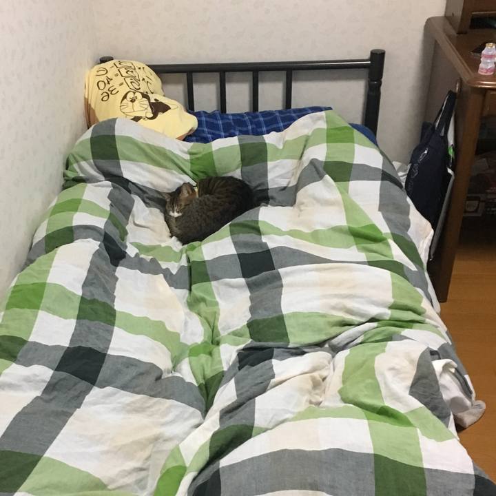 007f0bc5 a7f1 458a b6f3 1833a5dd3cb7 1525468033172