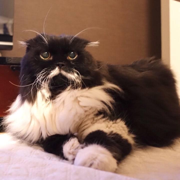 007f0c7d fa45 44ab 87c0 3cd5a4a73af5 1521032736788