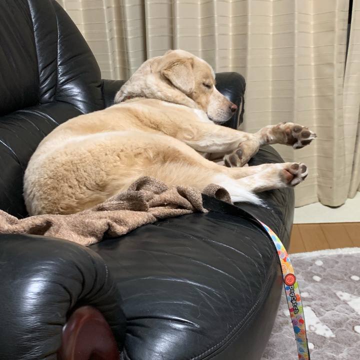 007f2466 9454 4780 b9fe cb6de6c891a0 1549117706425