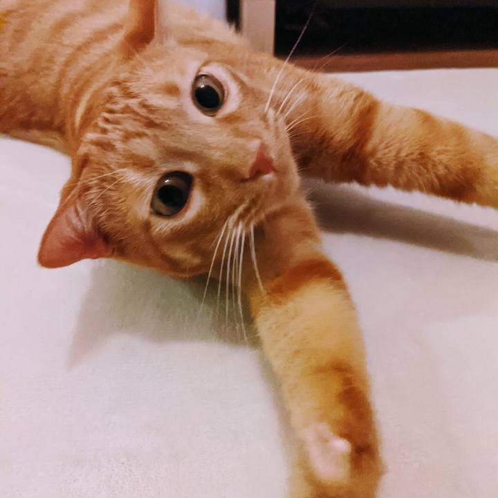 007f445a de55 4d38 93c9 a43b97172d17 1625745822351