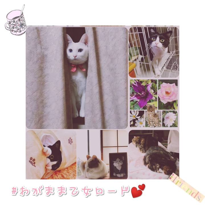 007f4561 840e 45c4 a555 2952f0ccdb7d 1568633520087