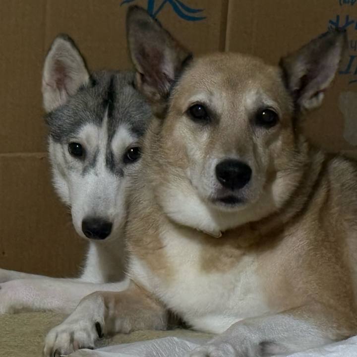 007f6138 e4e9 4356 9ae3 d7965c12e151 1757174885287