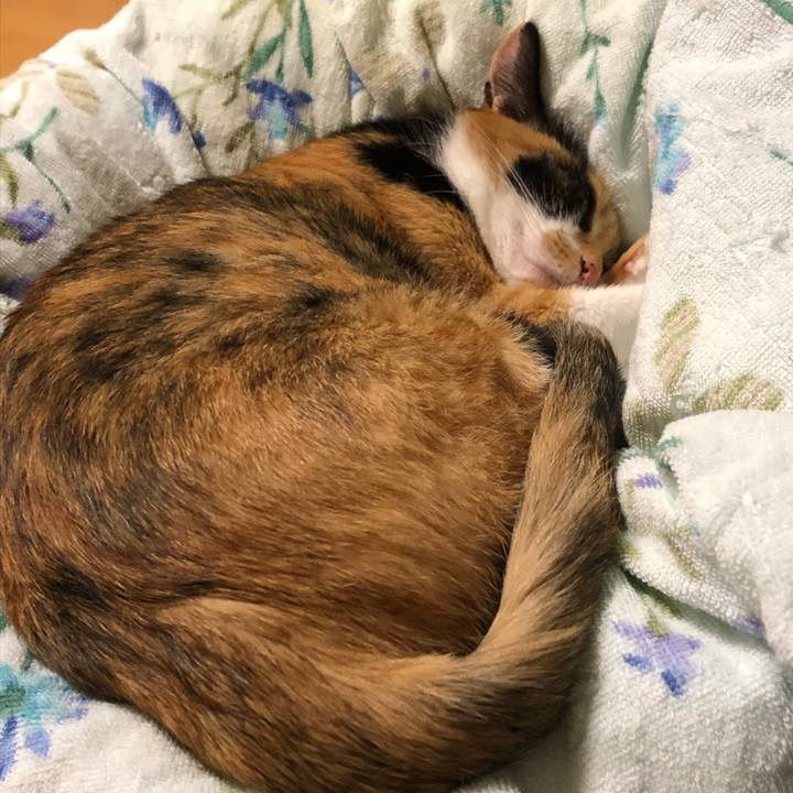 007f901d 9741 4d64 a2d6 3ff1f7563f02 1541677302095