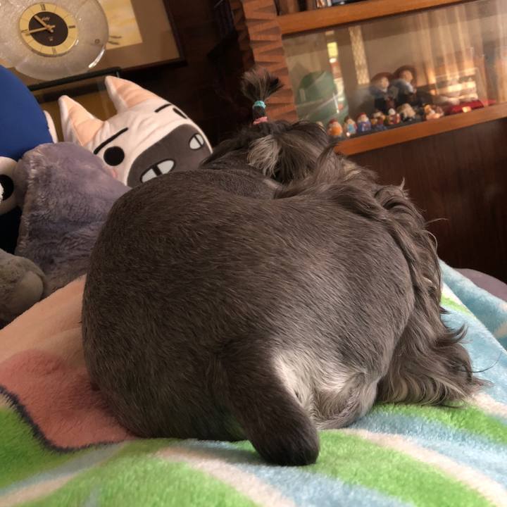 007f919d 99ad 43c6 a8dd c53cdef1e4b0 1539395904361