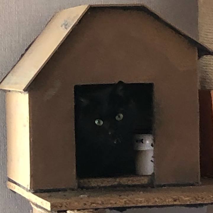 007f9554 0bc8 46dd 8595 aefd75e84a3b 1626350680041