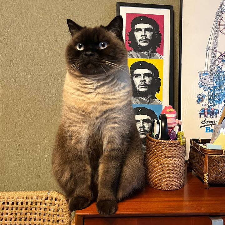 007f9daf 8cb0 47f7 b5d0 3b29d31c1e9c 1675214186072