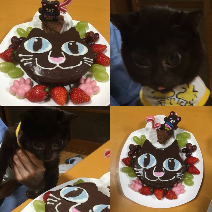 007fb594 2c44 43ec b39f c9920c8d7f24 1525610672762