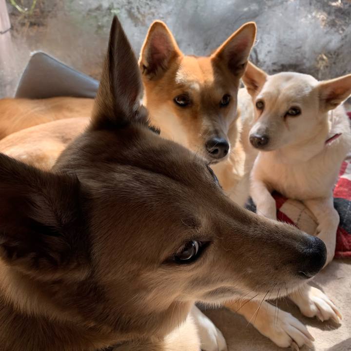 007fc0da 9879 4b60 8db3 dd5a92dddf69 1613740452656