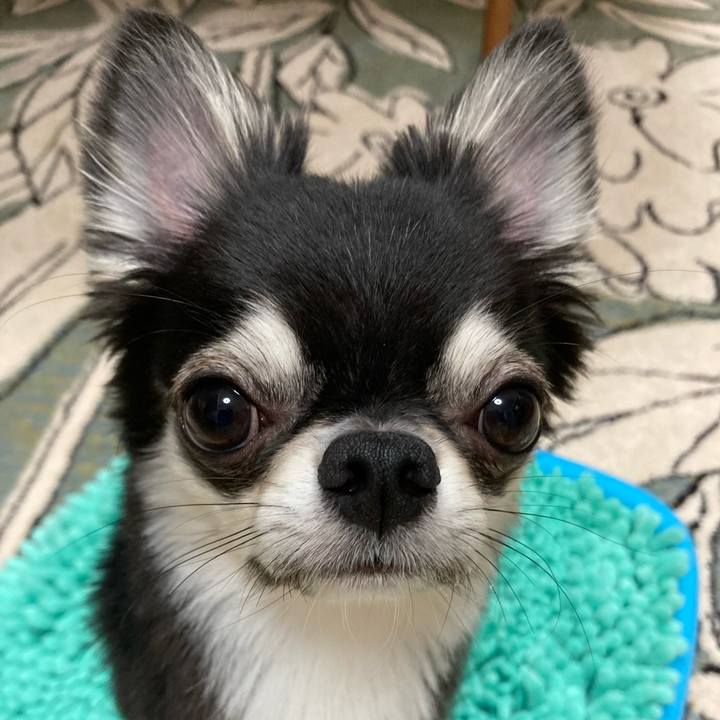 00800ef9 65fa 4bca b663 a331ccec4f8d 1626011520275