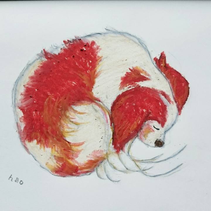 0080755b af75 4617 88d3 4587c5e37509 1550275906864