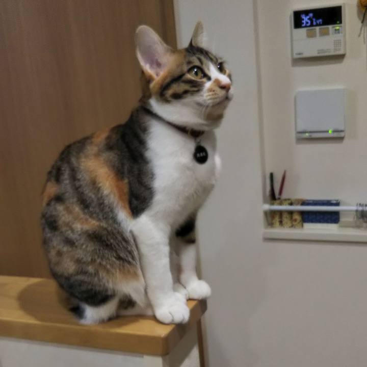 008096f3 9f37 47aa b9b6 094d2e3fb77f 1640385814160