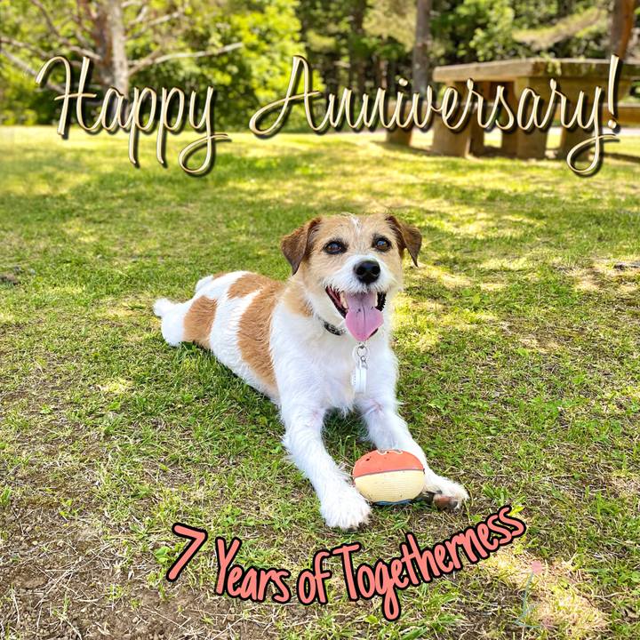 0080a9c8 783e 4af6 a896 d2f895c32689 1656400976549