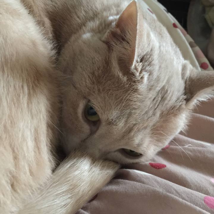 0080c5f3 1a48 47c4 aa73 ca0dd9272063 1528898749567