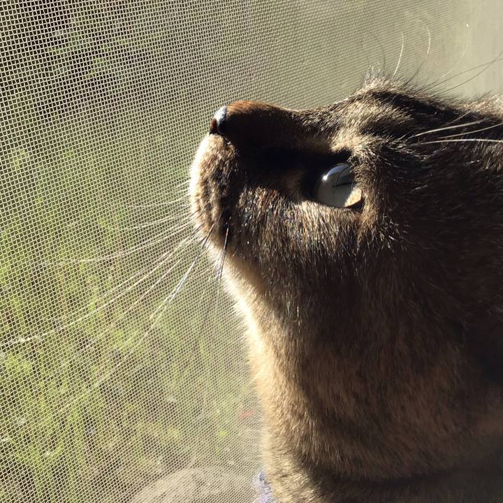 0080d7b3 d98d 4569 bfa3 cf042fbd4e40 1618525738337