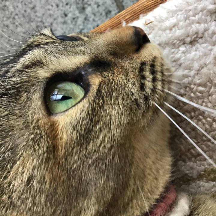 0080dc7d 1d7b 486f a18e a9d95254cdee 1618982686771