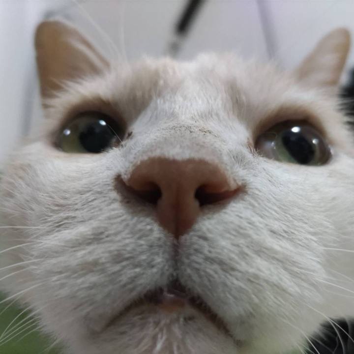 0080fb0f 27c6 49e1 8731 b5b367056001 1688769668639