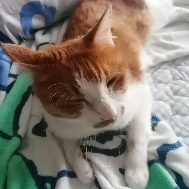 00810c0c e3ad 4385 8f2e a12effe09096 1627600394528