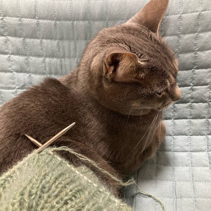 0081192c e468 4a6f 86d1 e533296ae9f1 1672878478444