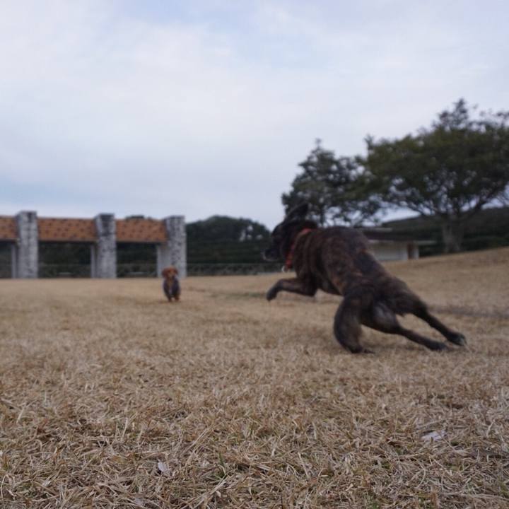 00814162 59d3 4116 9d85 e3cbeae4ff02 1520675844605