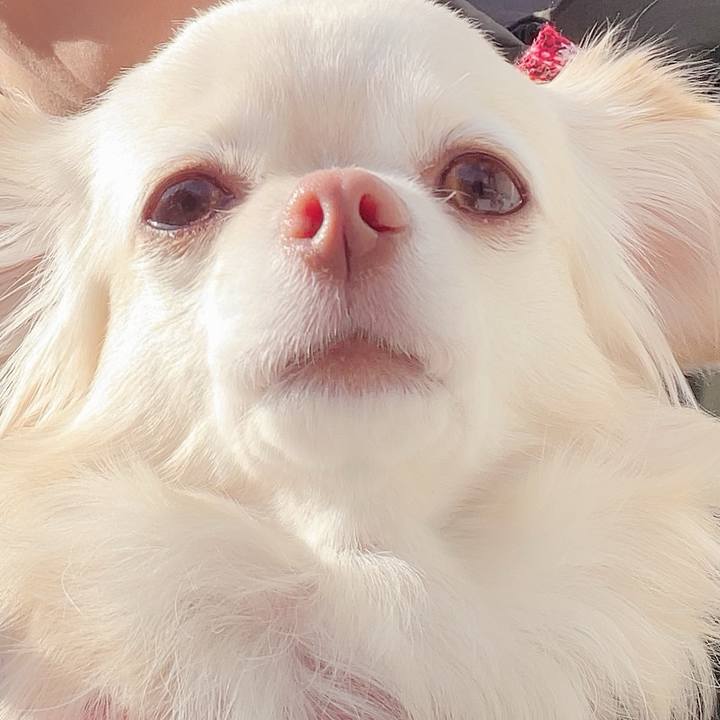 0081448a 4aad 4bba a6ec f9a059c2c825 1704102386186