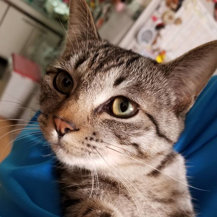 008151e6 85a5 4c0e aca1 d52972fd4ce7 1674651836984