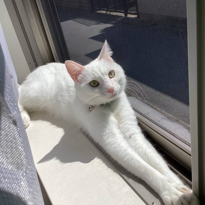 00815576 73f6 428a b2fd 5473a564e7ae 1653370667515