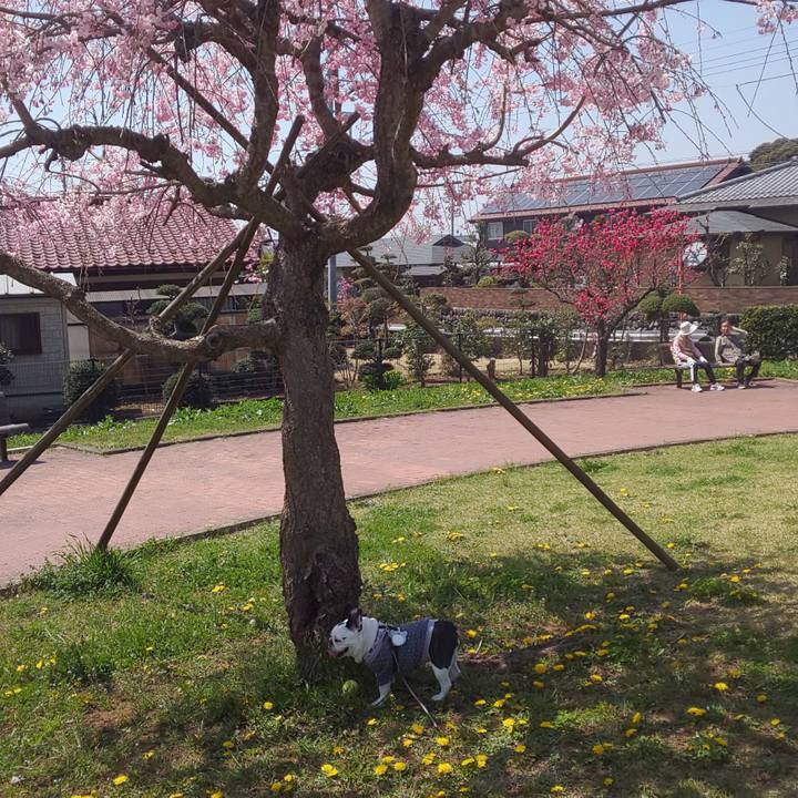 00818386 bdd5 46c1 80ad 94abe0013644 1649486967429