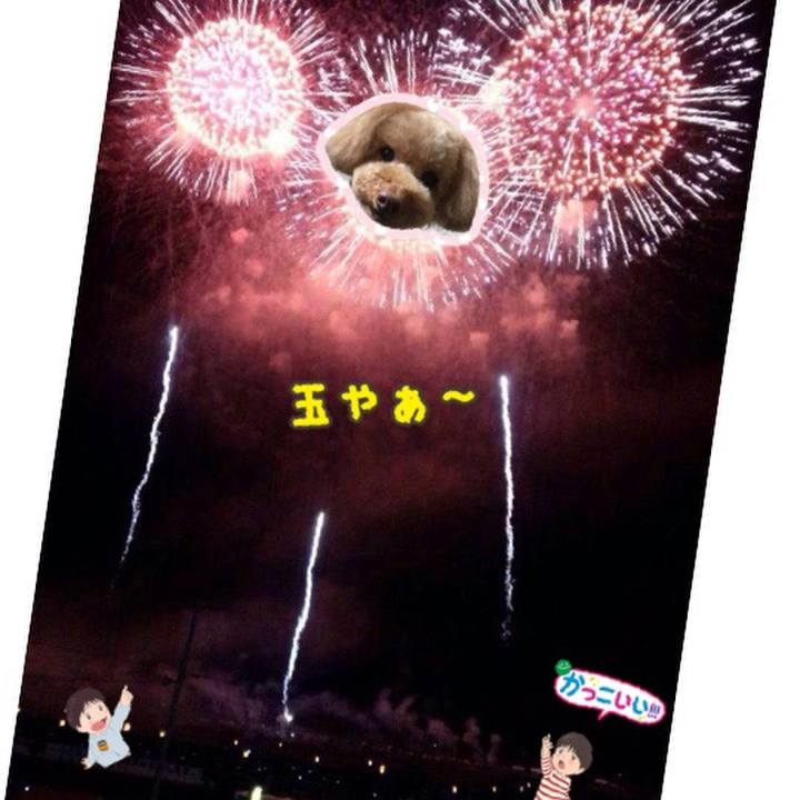 0081afc7 ae13 43aa a56e e438351b0db6 1533385289652