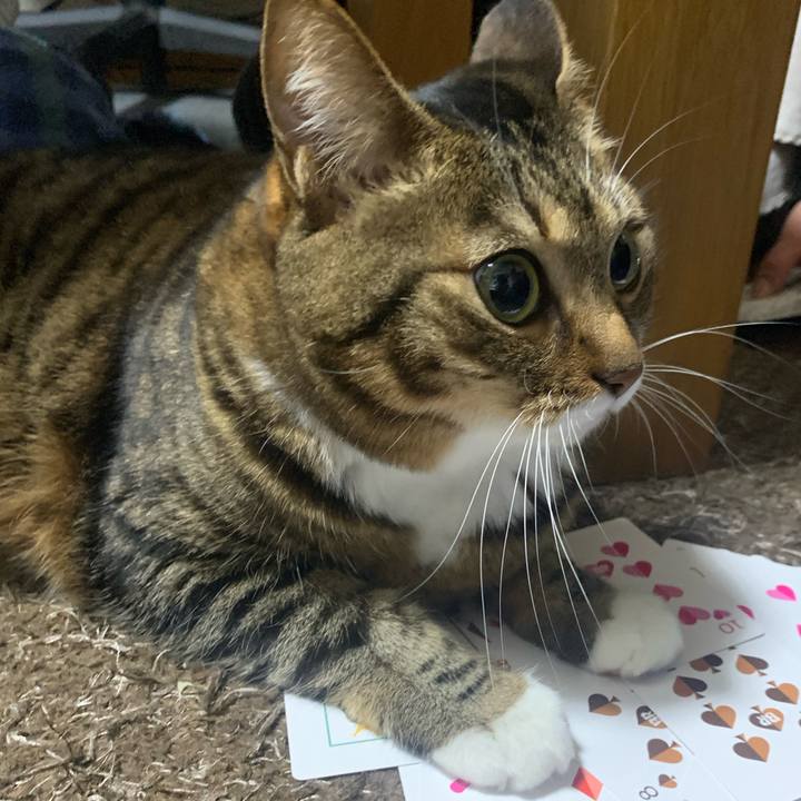 0081bd32 8f23 438d 8efc 47743bc8090f 1672672435745