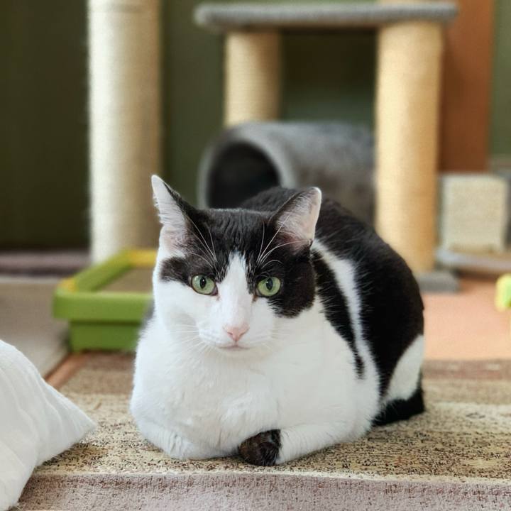 0081d412 1164 4d9b b643 2aab5e58e8c6 1597284249602