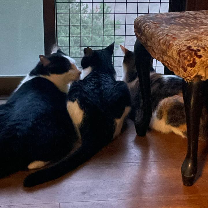 00826a6a 6b94 474e aa14 0451b82f37b3 1692700760892