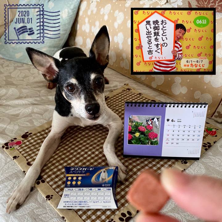 00826e5f c14a 442a a248 78dfdc0991dd 1590963291937