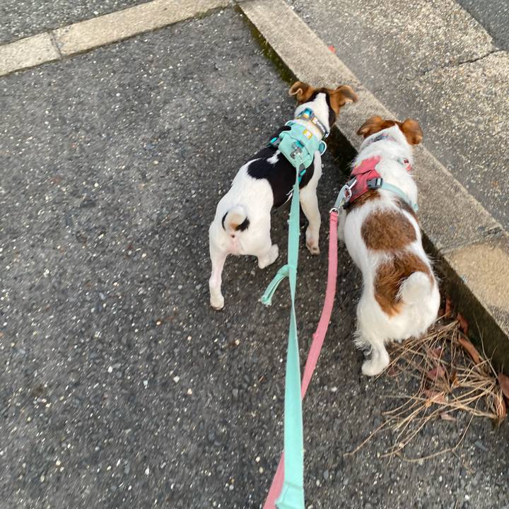 00828ffd f4e2 4229 b187 c6829a10bfab 1748691767298