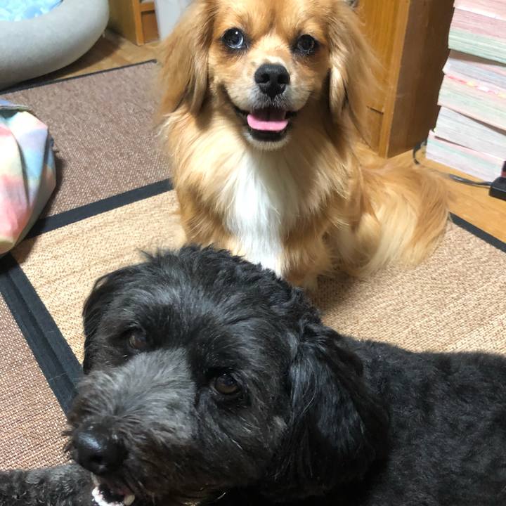 008292d8 fcd2 45bf 96aa 6f29e068b2d2 1533382720282