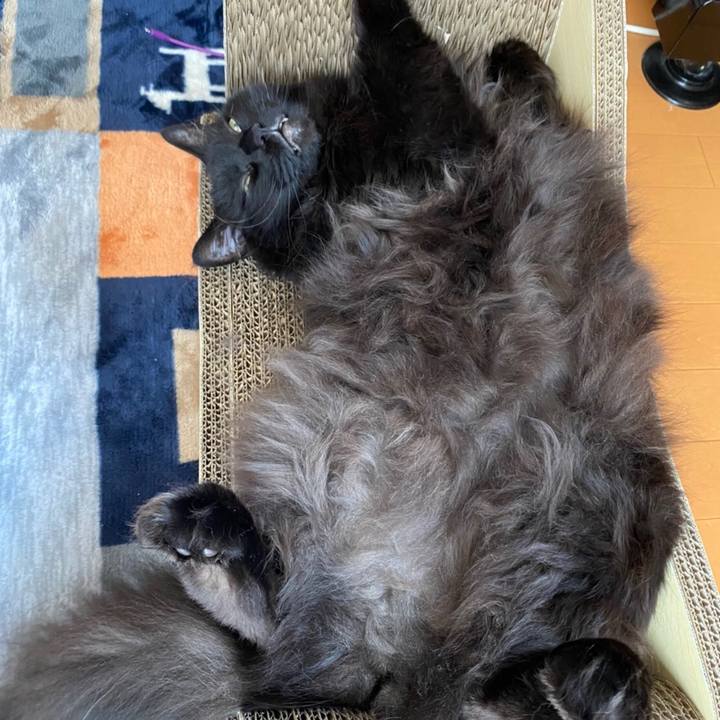 0082d08e 6556 4c99 ba50 16a4ee409d0d 1592898596428