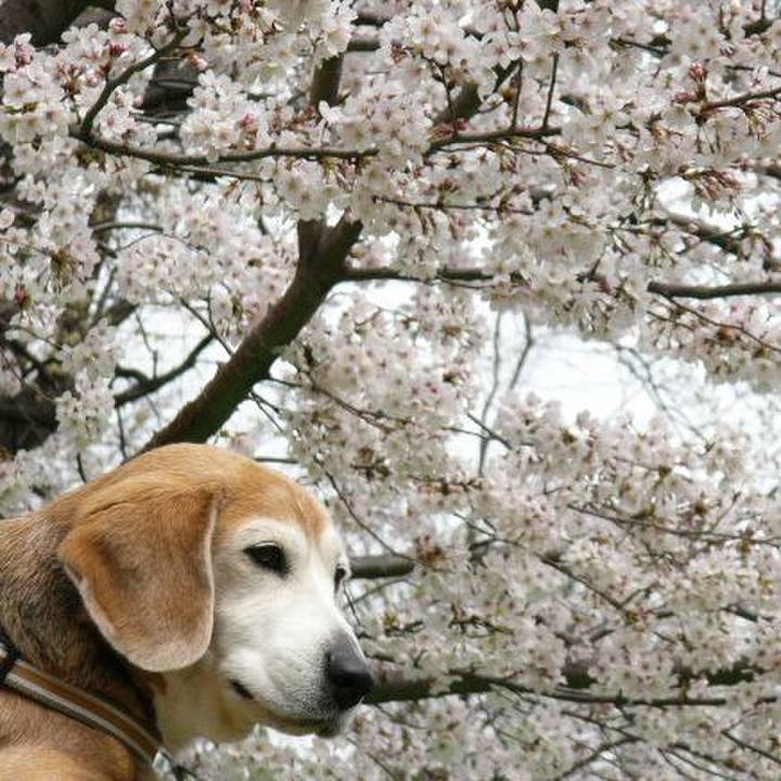 00830184 0356 4f1b b7b2 7b2eed592878 1648516884181