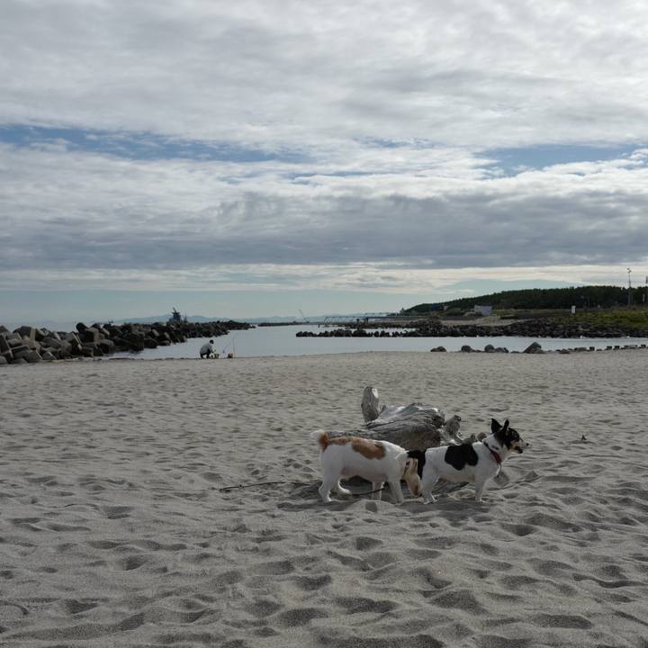 00830831 70d6 47a3 9d80 2282be3af297 1562557041477