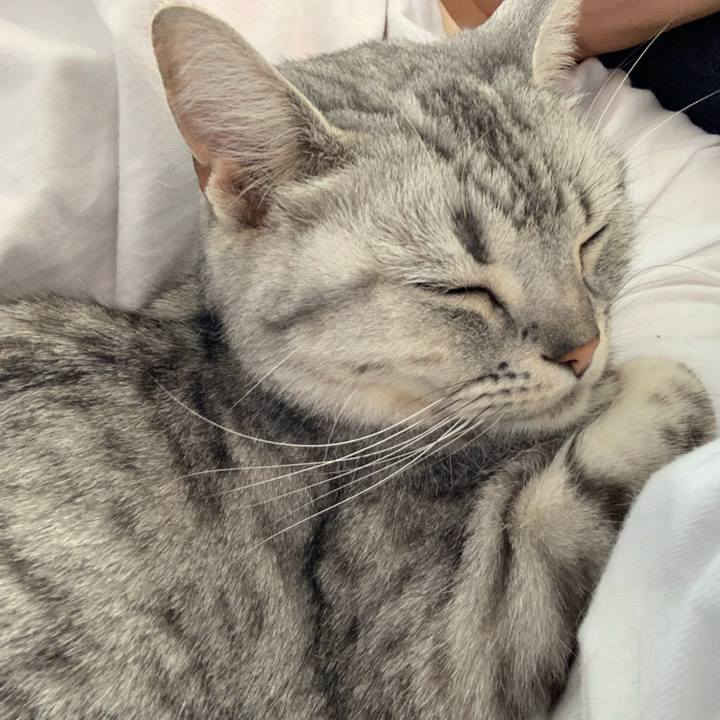 00830aad f22d 41f5 9e7b 84c88e67d0c8 1651633429926