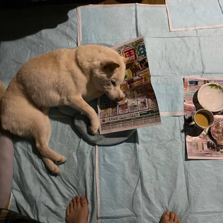 00830b67 0883 43ea 82a1 e81bcc76b150 1647191595467