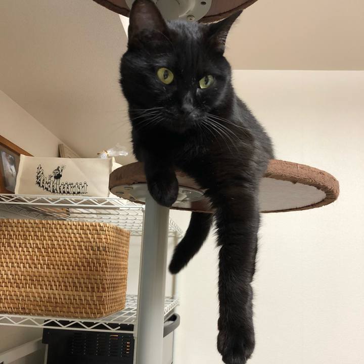 00832149 67e6 4110 a8af 80cb85951997 1513611149949