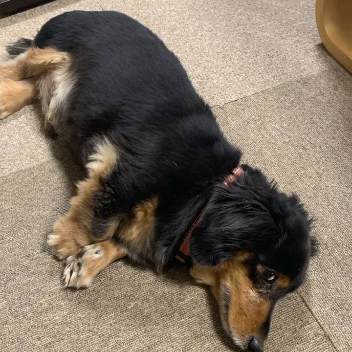 00834b82 6c56 40fa 945b 809ada260115 1575492153125