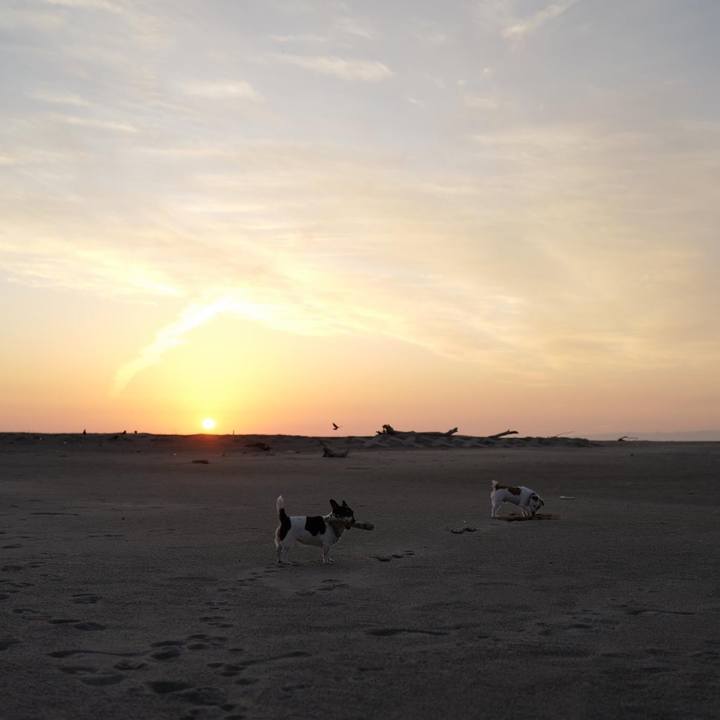 00835b01 19c7 4b90 9cfd dd0104645fa4 1510372920979