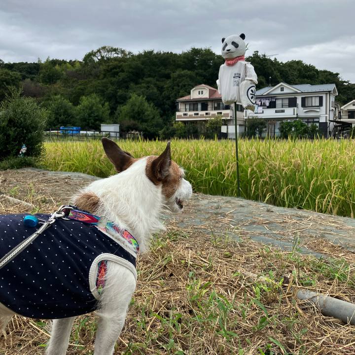 00839c7a 6241 4008 92e9 8f4d85ab46cd 1665098692674